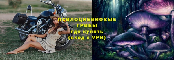 МДПВ Богданович
